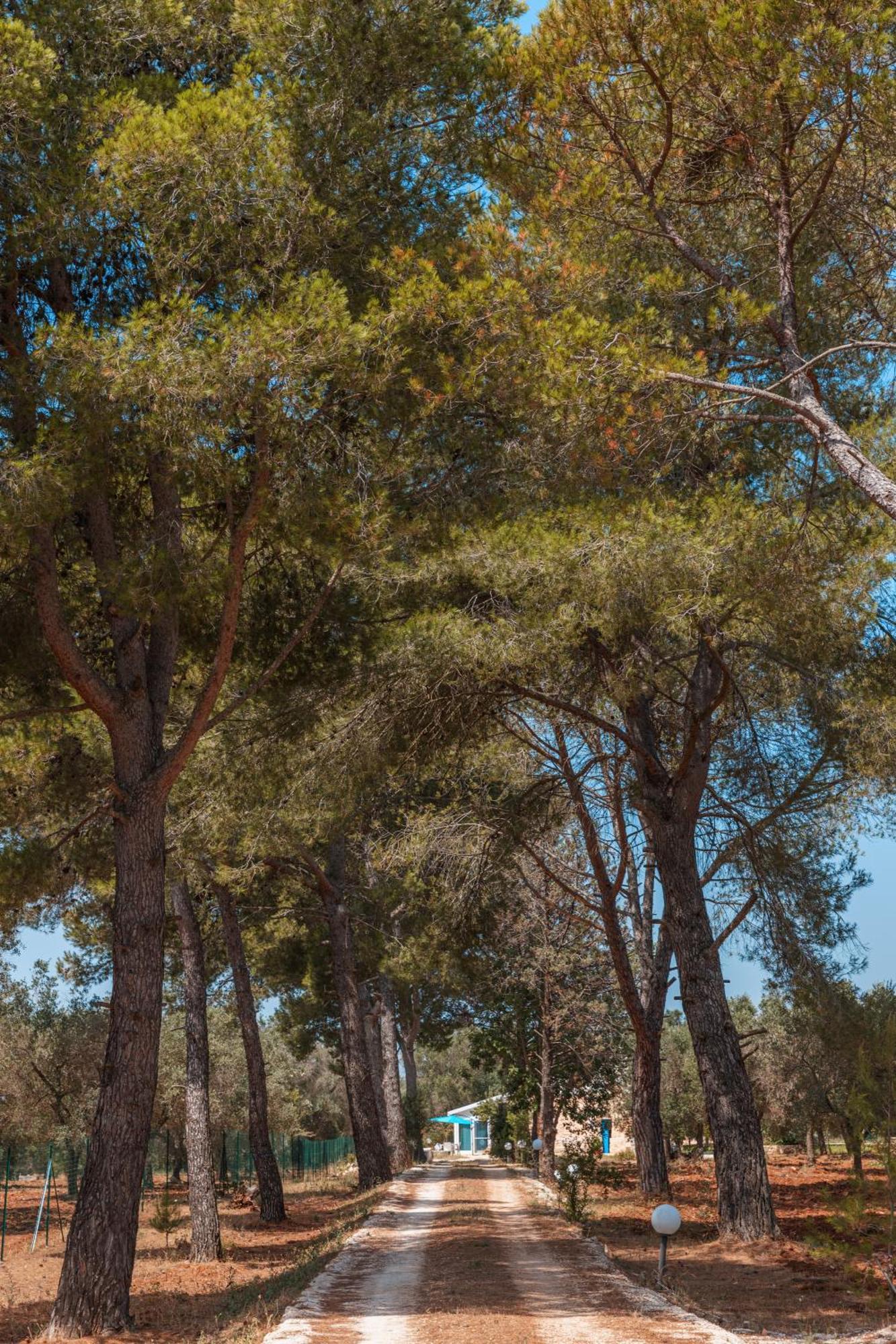 Trullo Tarantini Con Piscina Privata Apartment Latiano ภายนอก รูปภาพ