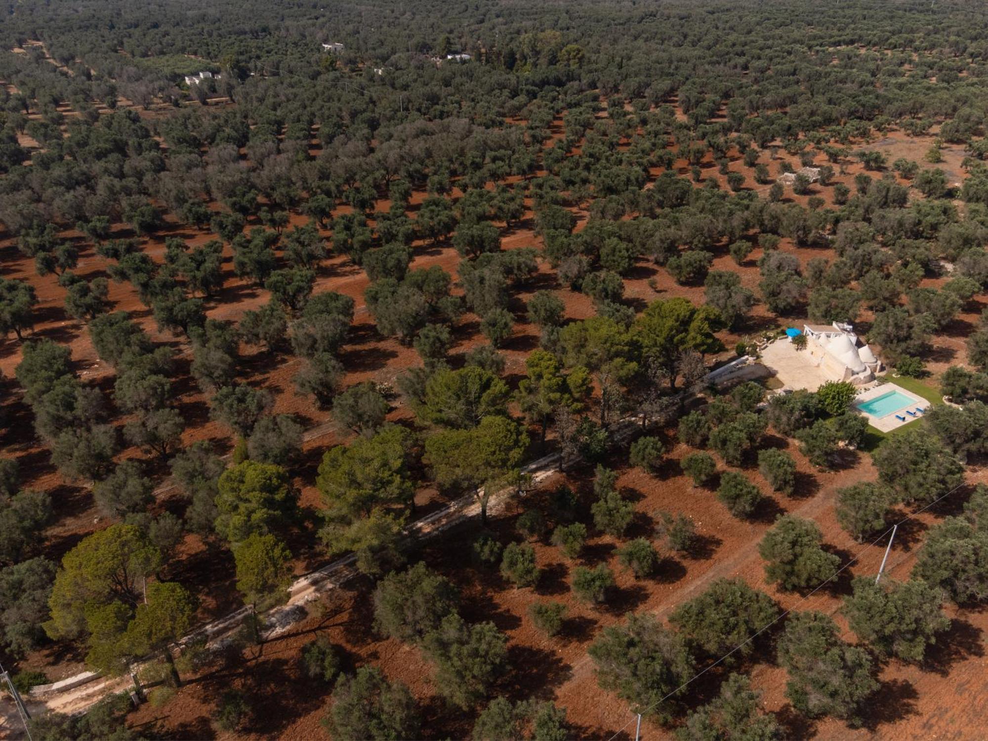 Trullo Tarantini Con Piscina Privata Apartment Latiano ภายนอก รูปภาพ